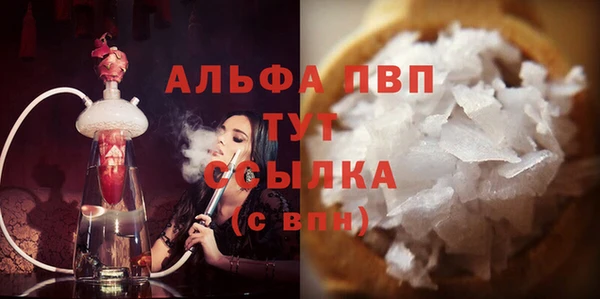 ешки Новодвинск