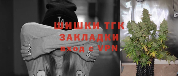 ешки Новодвинск