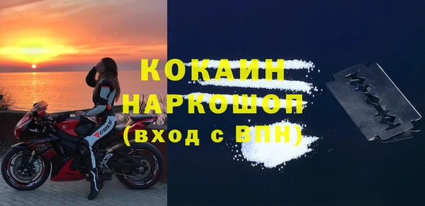 ешки Новодвинск