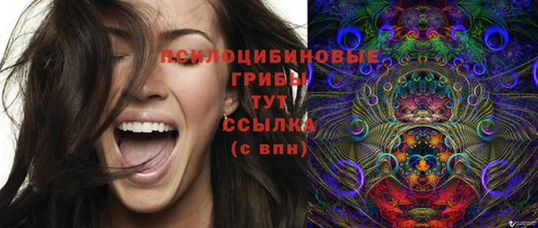 ешки Новодвинск