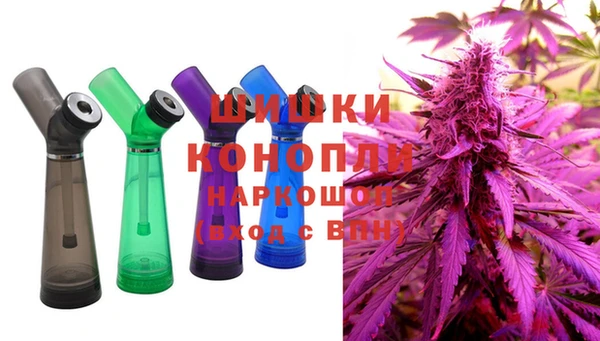 ешки Новодвинск