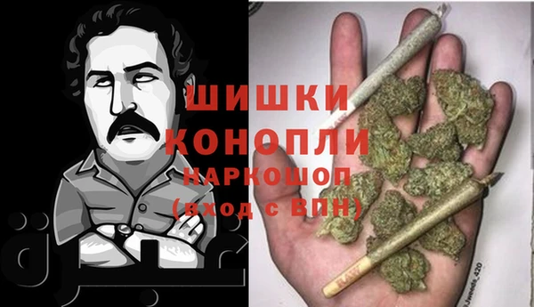 ешки Новозыбков