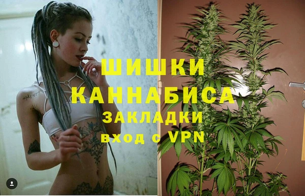 ешки Новозыбков